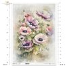 letnie kwiaty, bukiet kwiataów*Summer flowers, flower bouquet*Sommerblumen, Blumenstrauß*Flores de verano, ramo de flores 